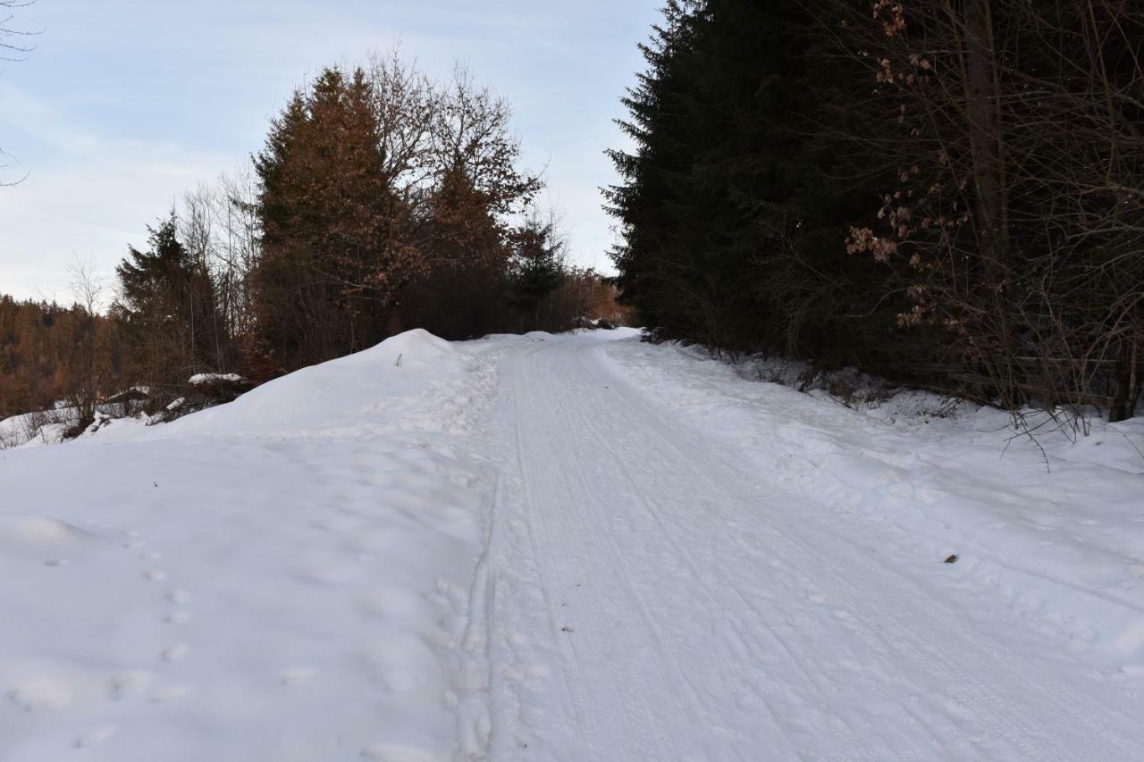 Homoród Kulcsosház Villa Homoródfürdő Kültér fotó